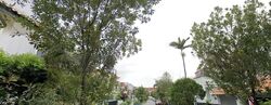 Serangoon Garden Estate (D19), Terrace #584926151